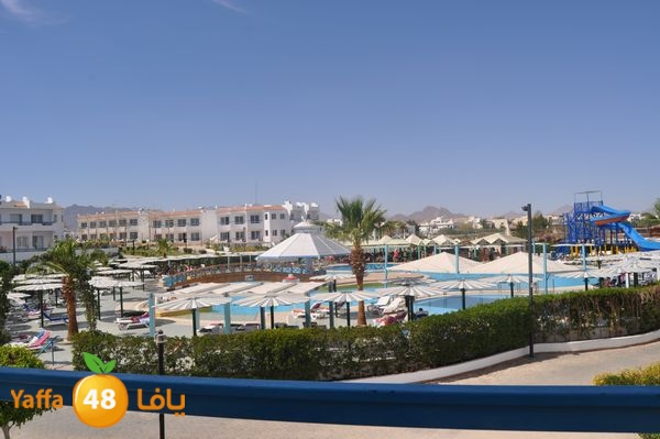 re7latsharmn422 (15).jpg